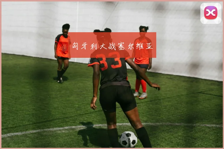 匈牙利大战塞尔维亚