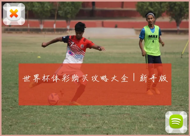 世界杯体彩购买攻略大全｜新手版