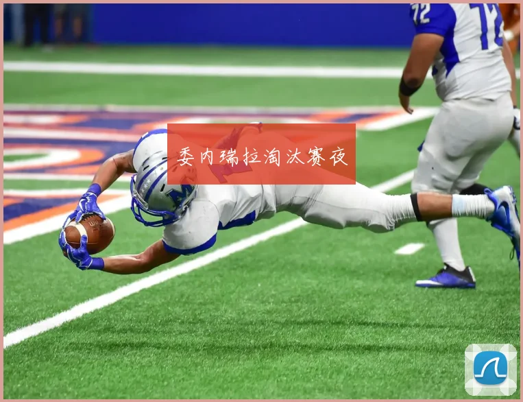 委内瑞拉淘汰赛夜