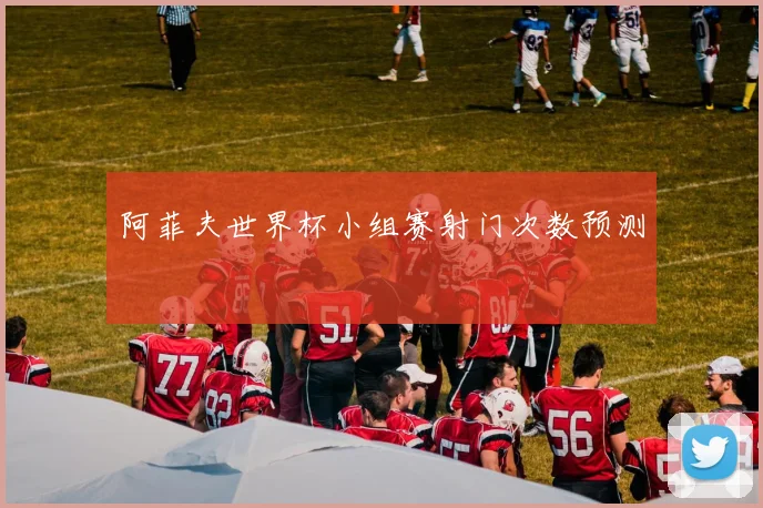 阿菲夫世界杯小组赛射门次数预测