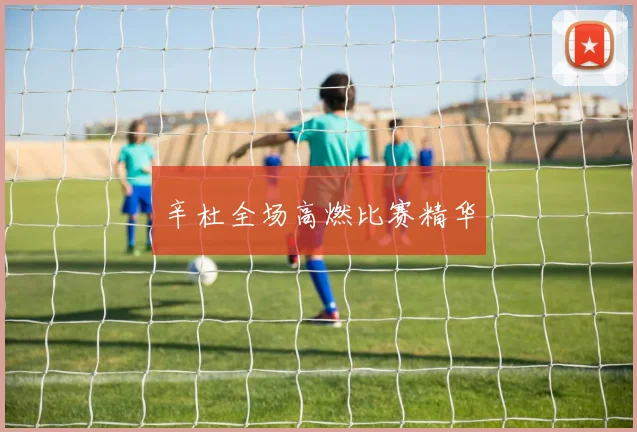 辛杜全场高燃比赛精华
