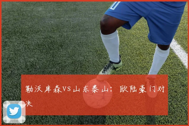 勒沃库森vs山东泰山：欧陆豪门对决