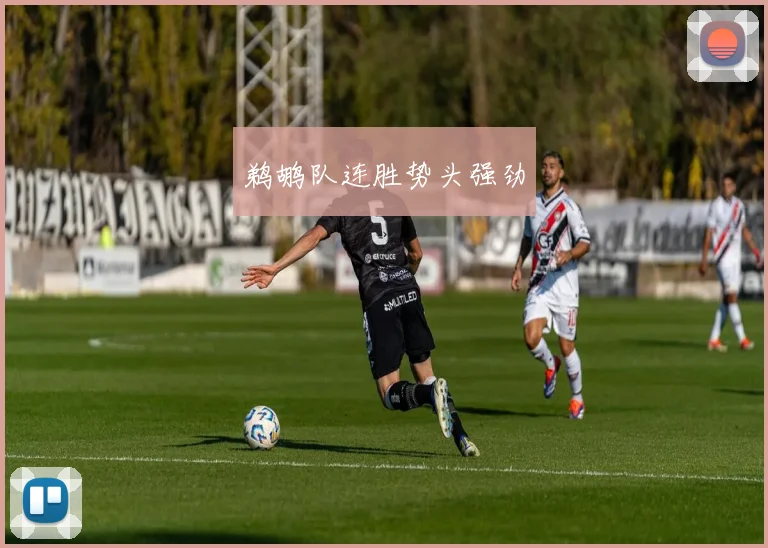 鹈鹕队连胜势头强劲