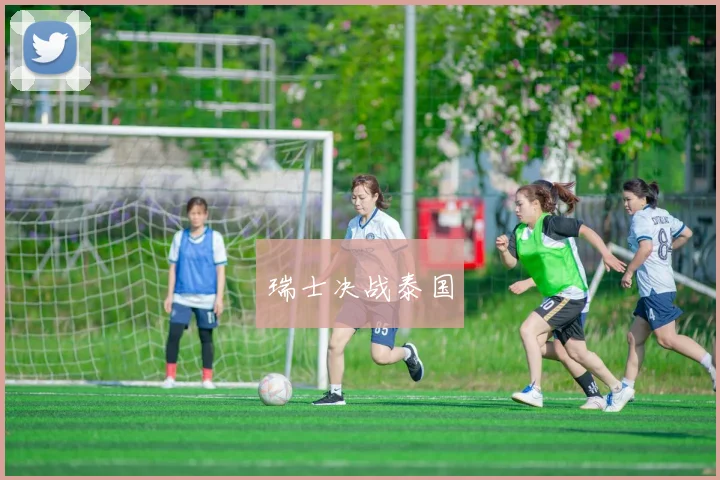 瑞士决战泰国