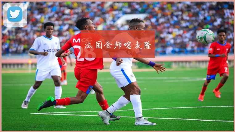 法国会师喀麦隆