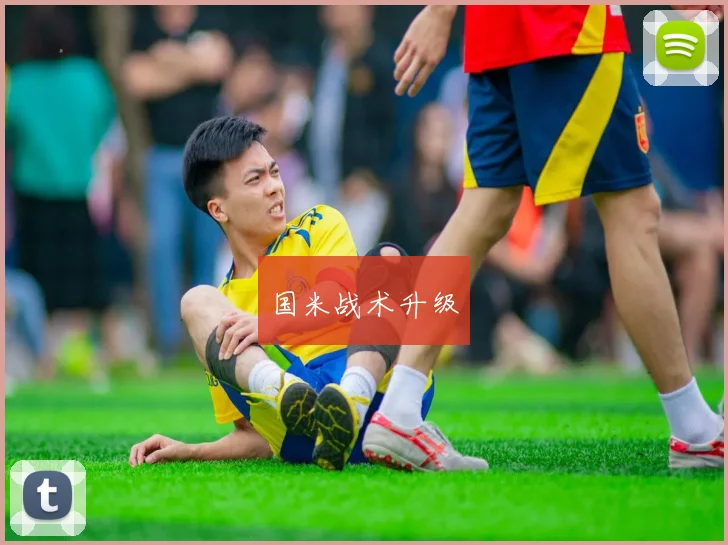 国米战术升级
