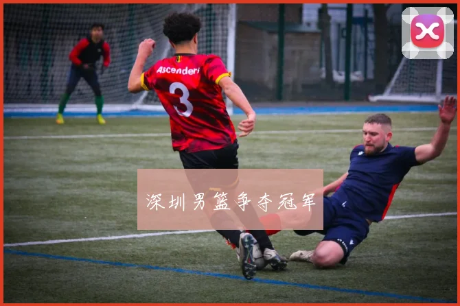 深圳男篮争夺冠军