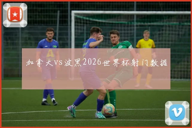加拿大vs波黑2026世界杯射门数据