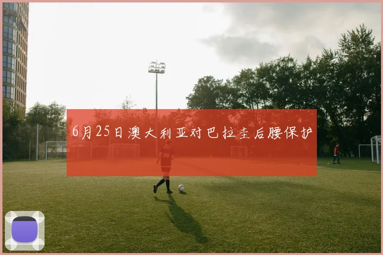 6月25日澳大利亚对巴拉圭后腰保护