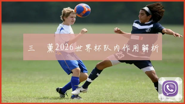 三笘薰2026世界杯队内作用解析