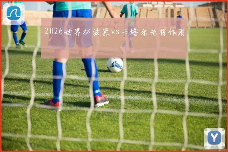 2026世界杯波黑vs卡塔尔老将作用