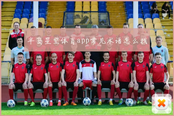 半岛星空体育app常见术语怎么找