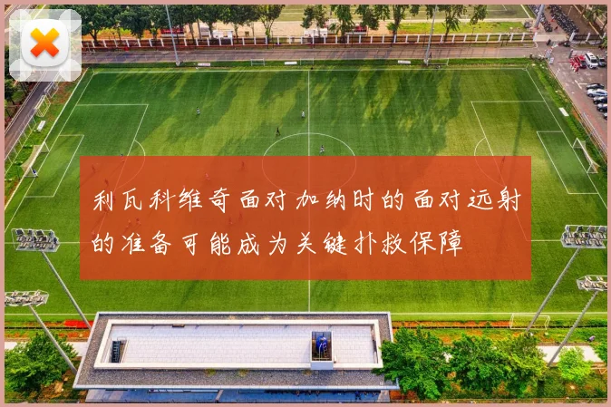利瓦科维奇面对加纳时的面对远射的准备可能成为关键扑救保障