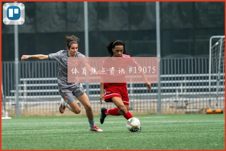 K组哥伦比亚对阵乌兹别克斯坦中场控制前瞻分析