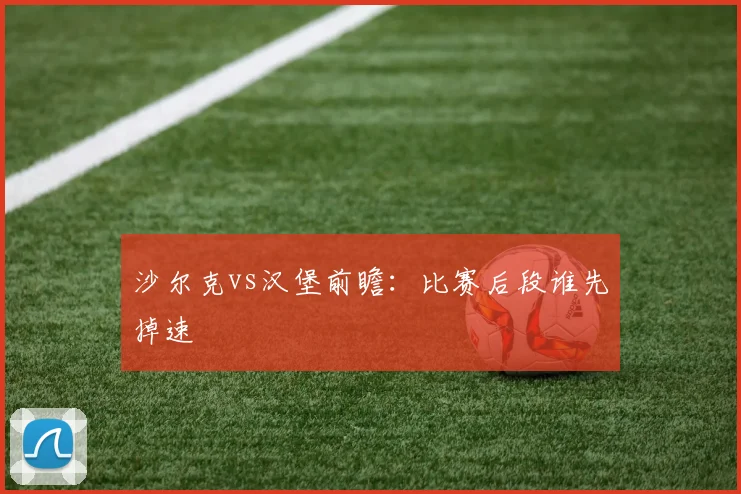 沙尔克vs汉堡前瞻:比赛后段谁先掉速