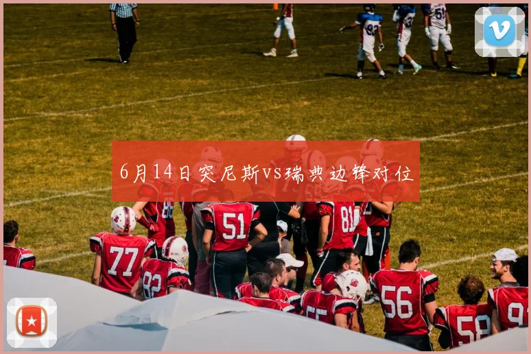 6月14日突尼斯vs瑞典边锋对位